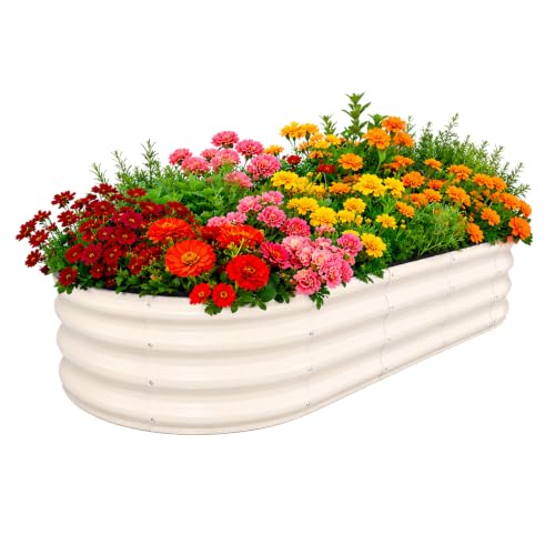 Galvanized Raised Garden Bed Outdoor 6x3x1 ft 1 Pack Oval White - color: White, size: 6 x 3 x 1 ft
