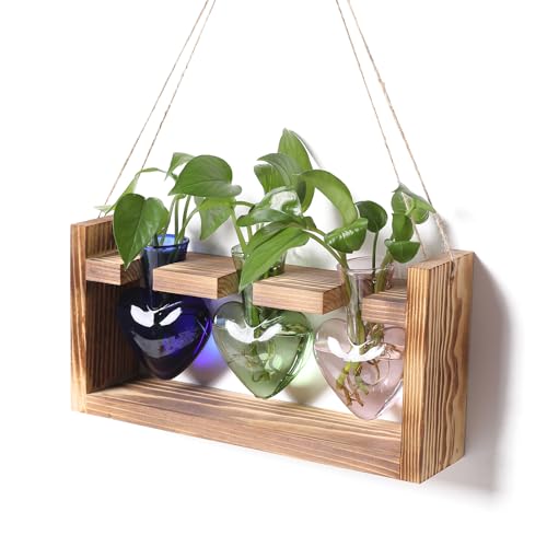 Plant Terrarium Propagation Stations Hydroponics - color: Mixed Color