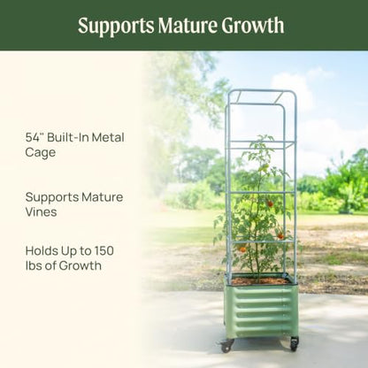 Vego garden Classic Rolling Cube Tomato Planter with Metal Cage & Wheels, 30 Gallon Rolling Planter for Tomatoes, Peppers & Beans, 21" x 21" x 19", 54" Plant Support Cage-Pearl White - color: Pearl White