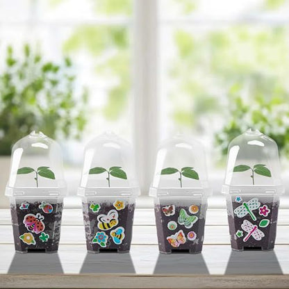 EBaokuup 10 Pack 3 Inch Clear Plant Nursery Pots with Humidity Domes - color: 10pcs-color, size: 3 Inch