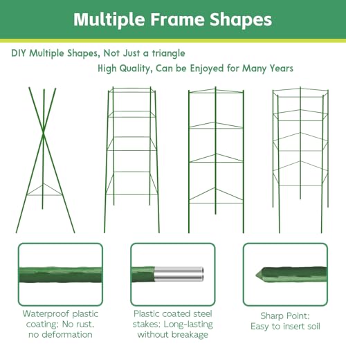 Riare 6 Pack 4 FT Tomato Cages for Garden, Heavy Duty Tomato Trellis - color: 6Pack, size: 48Inches