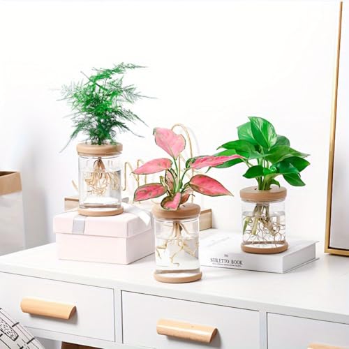 Plants Propagation Stations,Separated Desktop Flower Vase for Living Room and Bedroom, Decorative Vases for Wedding, Valentines' Day, Mother's Day