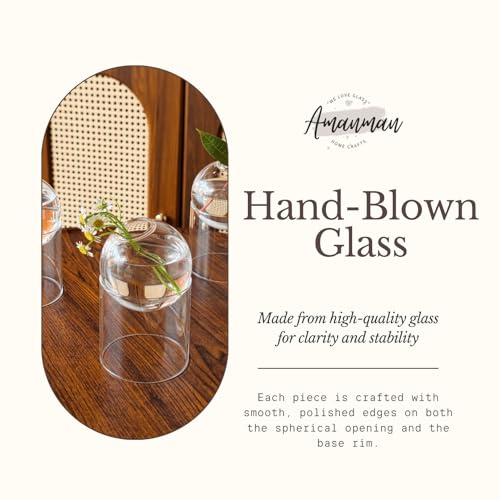 3-Pack Glass Plant Propagation Station, Planter Hydroponics Vase, Clear Glass Vase Set | Bud Vase & Mini Terrarium with Removable Base - color: Clear*3