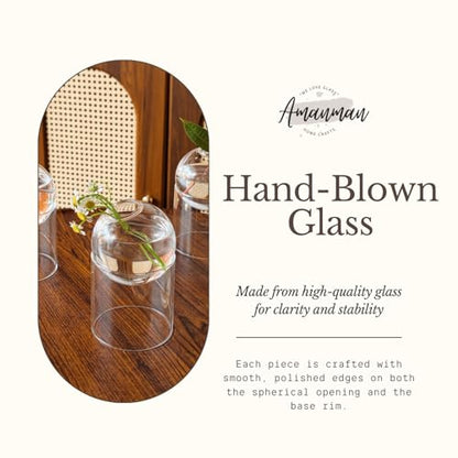 3-Pack Glass Plant Propagation Station, Planter Hydroponics Vase, Clear Glass Vase Set | Bud Vase & Mini Terrarium with Removable Base - color: Clear*3