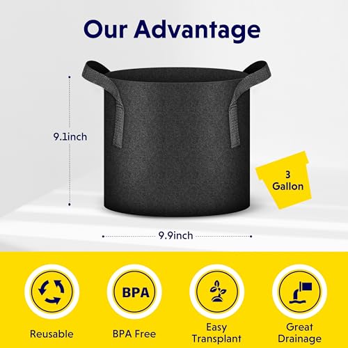 iPower Plant Grow Bag 3 Gallon 20-Pack Heavy Duty Fabric Pots, 300g Thick Nonwoven Fabric Containers Aeration with Nylon Handles, for Planting Vegetables, Fruits, Flowers, Black - color: Black, size: 20pack