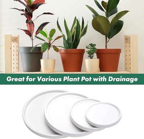 D'vine Dev Ceramic Plant Saucer/Drainage Tray, 10.4 in, White, 97-T-A-5 - color: White, size: 10.4" (1 Pack)