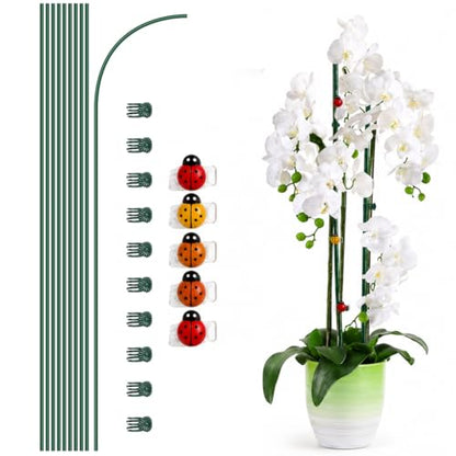 10PcsPlant Support Stakes with Ladybug Clips Green - color: Green+Ladybug Clips