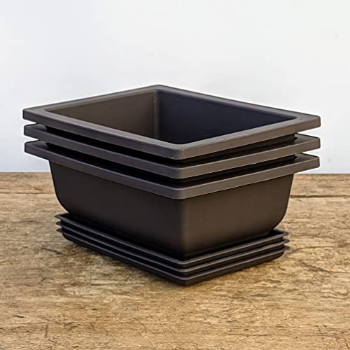 Shallow Bonsai Pots with Drainage Holes and Trays, 6 Inch Training, 3 Pack - size: 6 Inch, style: 3-Pack-6in