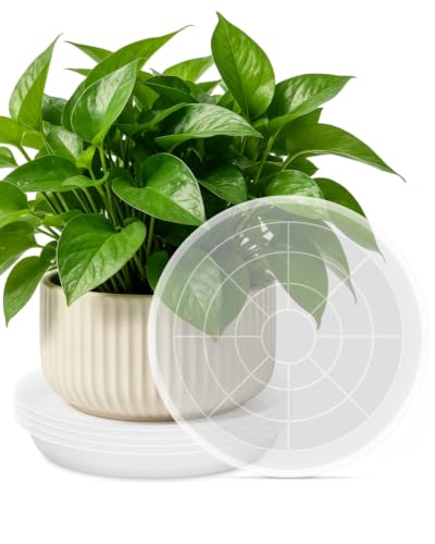 PACETAP 20 inch 5 Pack Plant Saucer Pot Tray, Large Thickened PP Plastic Flower Planter Water Drip Trays for Indoor Outdoor Garden, Semi-Transparent Planter Water Catcher for Pot, Plant Dish - size: 20 Inch