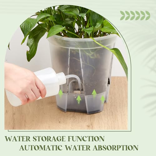 Wonderjune Self Watering Planter, 8.27'', Clear, 6 Pcs - color: Clear, size: 8.27''