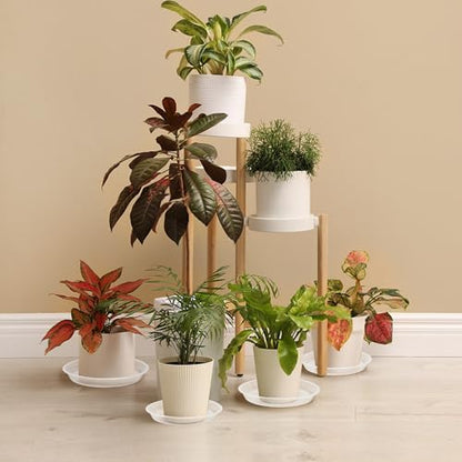 5 Pack 7 Inch Clear Plastic Plant Saucers for Indoors, Durable Plant Trays for Pots and Plant Water Catcher Tray with No Holes, Reusable Plastic Trays for Plants (7''-5Pack) - size: 7''-5Pack