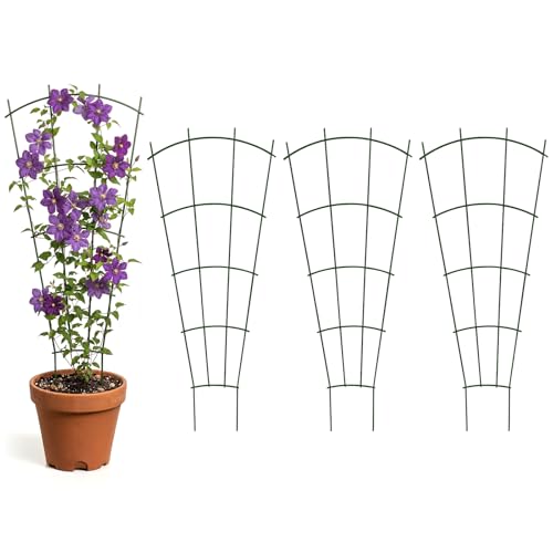 Thealyn 32" Metal Plant Trellis, Climbing Plant Support, 4 Pack (Green) - color: Green, size: 32 inch