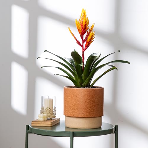 8 Inch Ceramic Self Watering Planter with Drainage Hole Terracotta - color: Terracotta, size: Medium