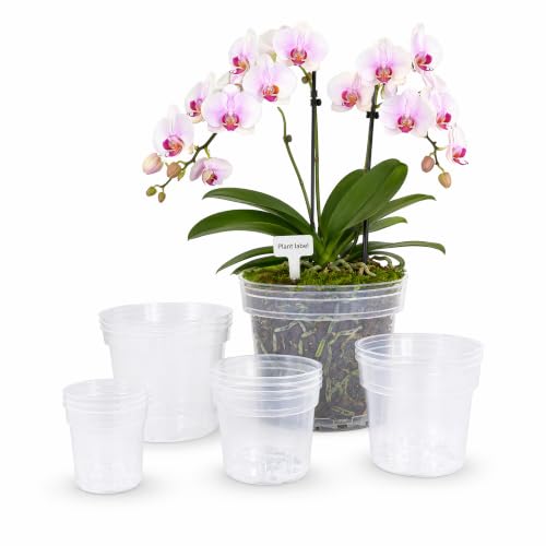 15 Pack 4/5/6/8/10" Clear Nursery Pots with Drainage & 15 Tags
