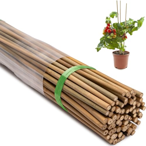 60 Pcs Bamboo Stakes, 6 Feet Natural Bamboo Garden Stakes for Plant, Garden Bamboo Plant Sticks for Plants Support, Tomato, Beans, Vegetable, Trees and Climbing Plants - size: 6ft-60 Pack