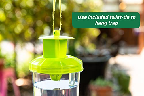 RESCUE! WHY Trap for Wasps, Hornets, & Yellowjackets – Hanging Outdoor Trap - 5 Traps