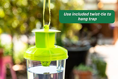RESCUE! WHY Trap for Wasps, Hornets, & Yellowjackets – Hanging Outdoor Trap - 5 Traps