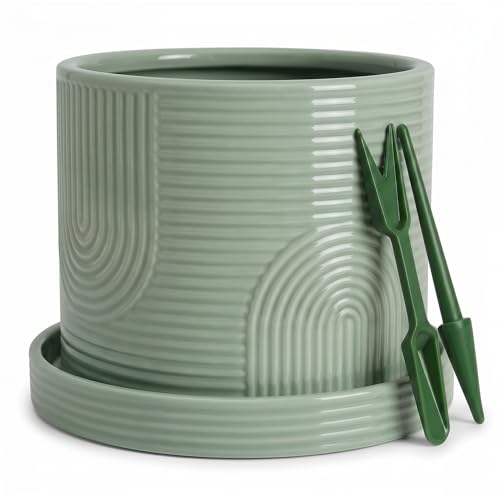 6 Inch Ceramic Plant Pot with Drainage Hole & Tray – Sage Green - color: Sage Green