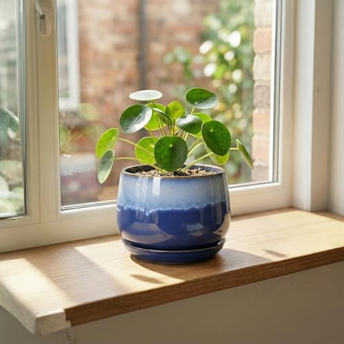 Ceramic Flower Pots, 6 Inch Plant Pot Indoor with Saucer, Deep Blue - size: 6 Inch, style: Deep Blue