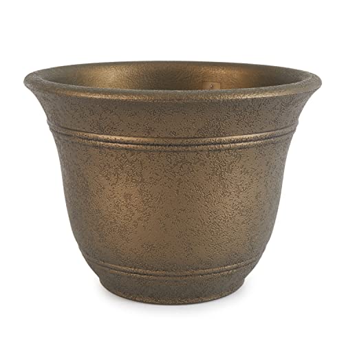 The HC Companies SRA10001P02 Sierra 10 Inch Self-Watering Planter