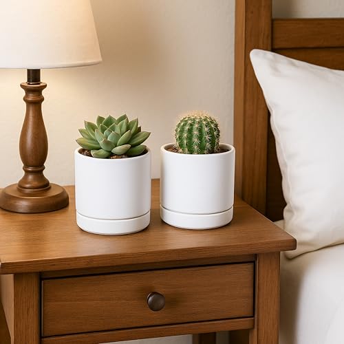 D'vine Dev 2-Pack Ceramic Pots with Saucers, White, 4.7 in, 94-V-B-1 - color: White, size: 4.7 Inch