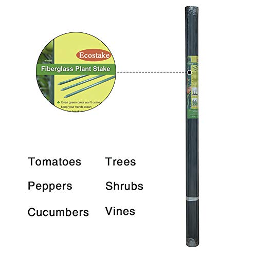 Garden Stakes 5/16" Dia, 5 FT FRP Plant Supporting Stakes for Climbing Tomato Cucumber Strawberry Bean Tree, Pack of 20, Dark Green - size: 5/16"Dia x 5Ft Height(20 packs)