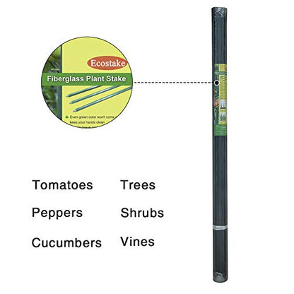 Garden Stakes 5/16" Dia, 5 FT FRP Plant Supporting Stakes for Climbing Tomato Cucumber Strawberry Bean Tree, Pack of 20, Dark Green - size: 5/16"Dia x 5Ft Height(20 packs)