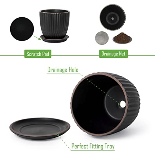 D'vine Dev 2-Pack Stoneware Planter Pots, 4.5/5.8 in, Black, 99-D-2 - color: Black