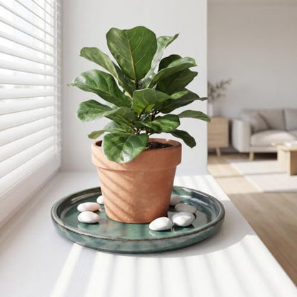 Ceramic Plant Saucer, 11.4 inch, Forest Green - color: Forest Green