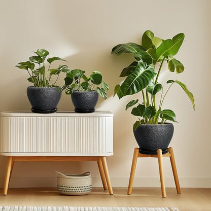 Ceramic Planter 6 Inch, Ceramic Plant Pots Indoor, Black - color: Black, size: 6 Inch