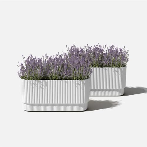 Veradek Demi Series Long Planter - Wide Outdoor Planter - color: White, size: 30 inch - 2 Pack