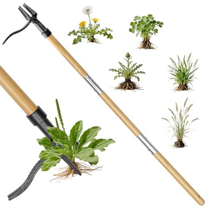 Stand Up Weed Puller Tool, Real Bamboo Long Handle 4-Claw Steel Head Weeder - size: 45-IN