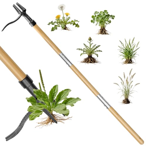 Stand Up Weed Puller Tool, Real Bamboo Long Handle 4-Claw Steel Head Weeder - size: 45-IN