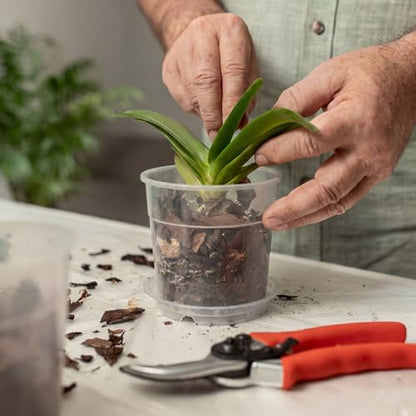 Baderke 12 Pack Clear Nursery Pot,Multiple Sizes - size: Multiple Sizes