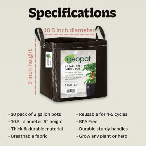 GeoPot 3 Gallon Fabric Grow Bags with Handles for Vegetables, Houseplants, Herbs & Flowers | 10-Pack | Fabric Pots for Outdoors and Indoors, Aerated Fabric Grow Bags - size: 3 Gallon (10-Pack), style: With Handles