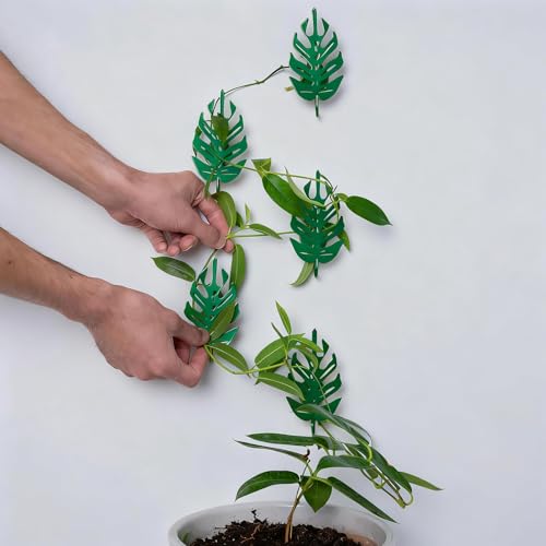 15 Pack Plant Vine Wall Clips - Durable Iron Support Hooks for - color: Green