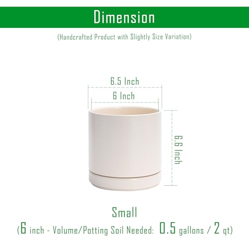 D'vine Dev 2-Pack Ceramic Pots with Saucers, Oatmeal, 6.5 in, 94-V-C-8 - color: Oatmeal, size: 6 Inch