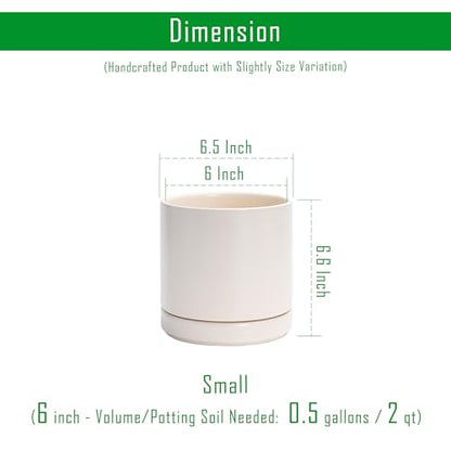 D'vine Dev 2-Pack Ceramic Pots with Saucers, Oatmeal, 6.5 in, 94-V-C-8 - color: Oatmeal, size: 6 Inch