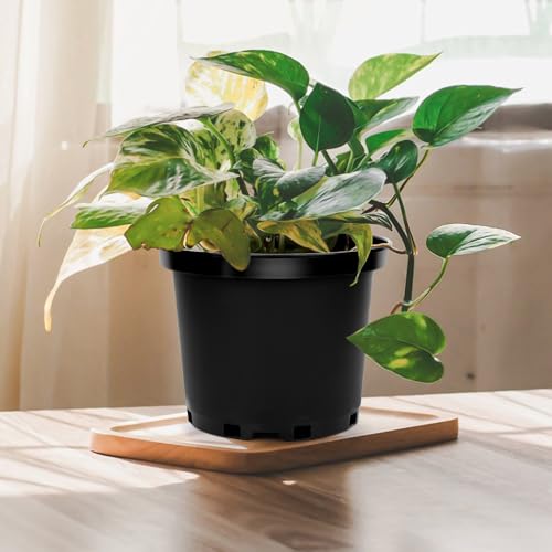 GREANER 2 Gallon Nursery Pots for Plants, 10 PCS Plastic Plant Pot with Drainage Holes for Indoor Outdoor, Garden, Greenhouse(Black) - size: 9 Inch