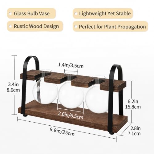 3-Bulb Plant Propagation Station, Glass Vase Terrarium, Brown - color: Brown