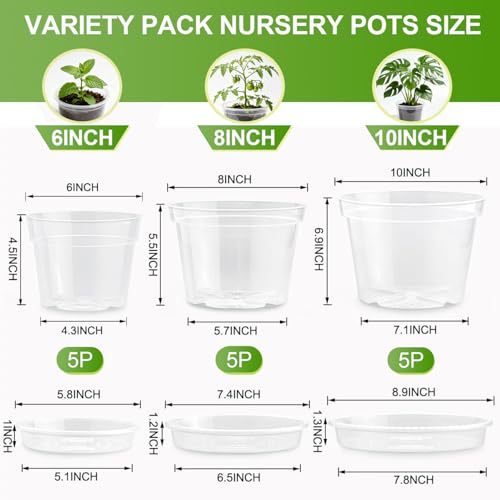 6/8/10 Inch Clear Nursery Pots with Drainage Holes & Saucers 15 Pack - size: 6+8+10 Inch
