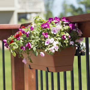 Hold It Mate Universal Adjustable 20” Planter Box Bracket Kit Includes 2 Heavy Duty Bottom Adjustable 5.5 to 8.5” Brackets Holds up to 30” Long Planter Box for Vertical Spindled Deck Railings - size: 20 Inch