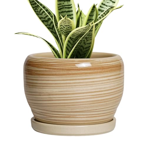 SQOWL Ceramic Pot for Plants - 6 Inch Indoor Planter with Drainage Hole and Tray, Round Modern Flower Pot Outdoor, Decorative Succulent Planter, Kitchen Decor, Gifts for Plant Lovers, Yellow - color: Glossy Yellow, size: 6 Inch
