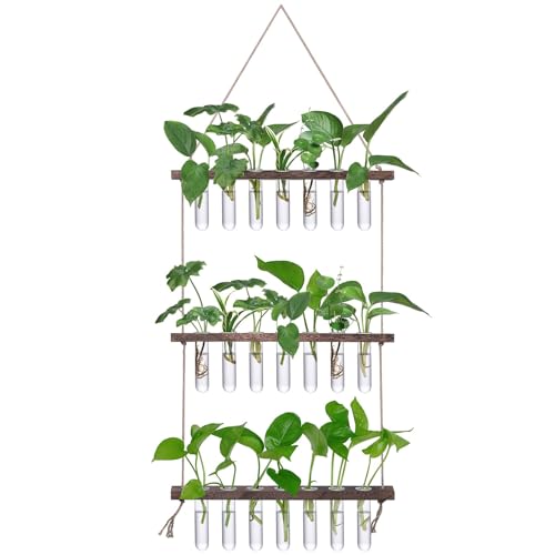 XXXFLOWER Wall Hanging Propagation Station with Wooden Stand - color: Brown, size: 21 Tube Vases