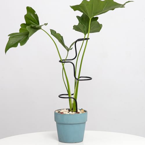 3PCS Indoor Plant Support Stakes - Sturdy Metal Trellis for Houseplants - color: Black