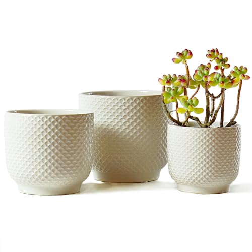 4 + 5 + 6 Inch Ceramic Pots for Indoor Plants, Succulents Plant Pots, Orchid Flower Pot with Drainage Hole, Modern Clay Stoneware Planters, Set of 3 (White, 4+5+6 Inch) - color: White