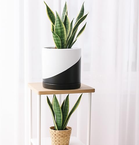 D'vine Dev 8.2 Inch Ceramic Planter Pot, Black White Diagonal, 94-O-D-K - color: Oblique Monochrome Black & White, size: Medium