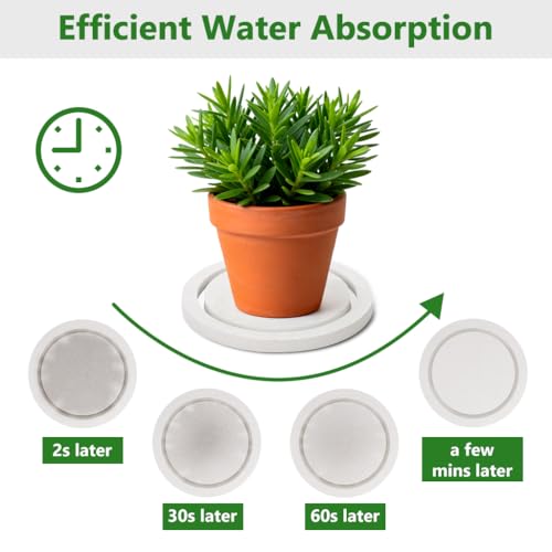 4" Instantly Dry Diatomite Stone Plant Saucer - 2 Pack, White - color: White, size: 4" (2 Pack)