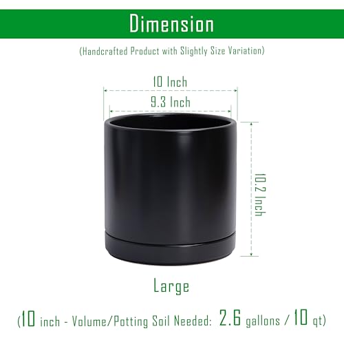 D'vine Dev 2-Pack Ceramic Pots with Saucers, Black, 10 in, 94-V-E-2 - color: Black, size: 10 Inch
