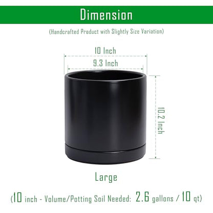 D'vine Dev 2-Pack Ceramic Pots with Saucers, Black, 10 in, 94-V-E-2 - color: Black, size: 10 Inch